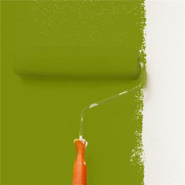 Wandfarbe Matt NCS-S-3065-G50Y WALLCOVER Colors
