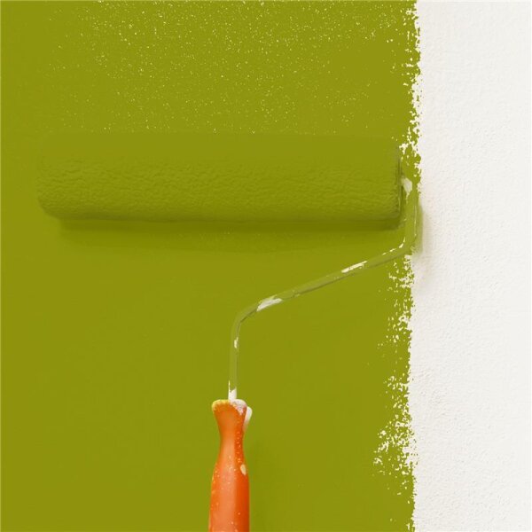 Wandfarbe Matt NCS-S-3065-G60Y WALLCOVER Colors