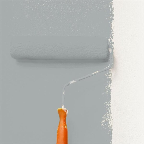 Wandfarbe Matt NCS-S-3502-B50G WALLCOVER Colors