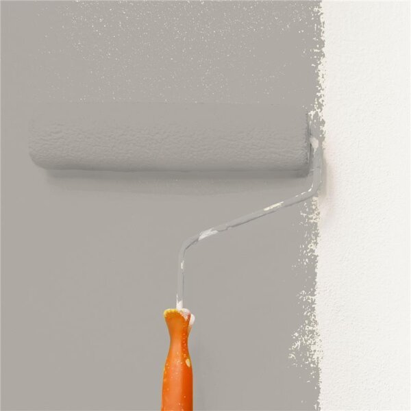 Wandfarbe Matt NCS-S-3502-Y50R WALLCOVER Colors