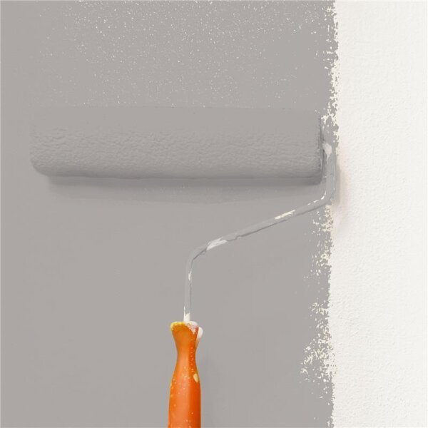Wandfarbe Matt NCS-S-3502-Y80R WALLCOVER Colors
