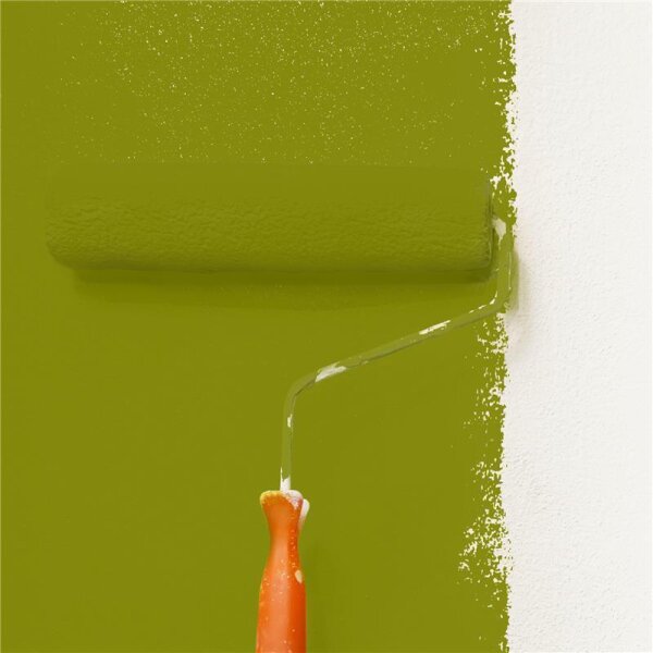 Wandfarbe Matt NCS-S-3560-G60Y WALLCOVER Colors