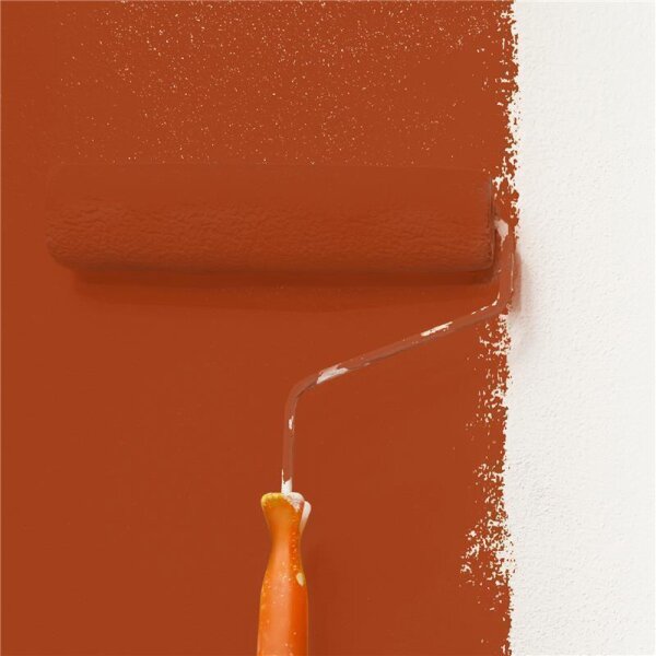 Wandfarbe Matt NCS-S-3560-Y70R WALLCOVER Colors