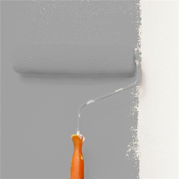 Wandfarbe Matt NCS-S-4000-N WALLCOVER Colors