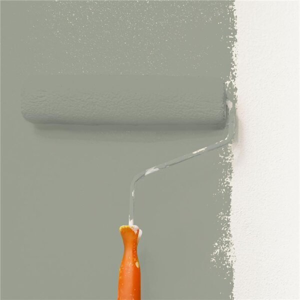 Wandfarbe Matt NCS-S-4005-G50Y WALLCOVER Colors