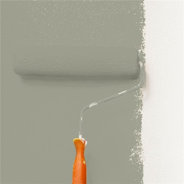 Wandfarbe Matt NCS-S-4005-G80Y WALLCOVER Colors