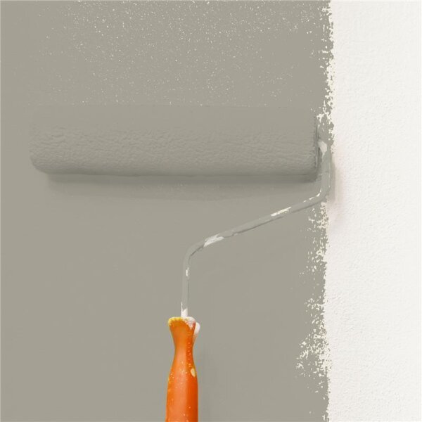 Wandfarbe Matt NCS-S-4005-Y WALLCOVER Colors