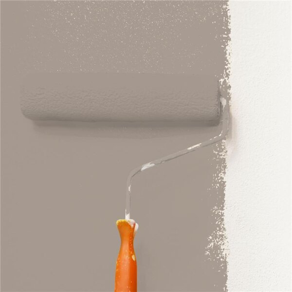 Wandfarbe Matt NCS-S-4005-Y50R WALLCOVER Colors