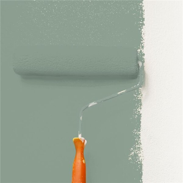 Wandfarbe Matt NCS-S-4010-G10Y WALLCOVER Colors