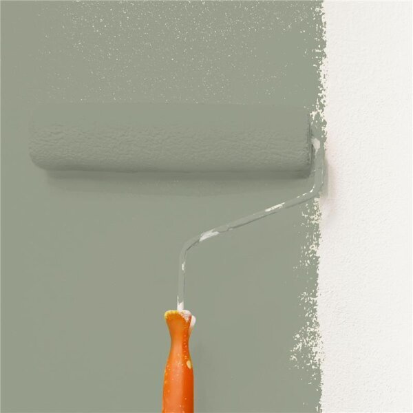 Wandfarbe Matt NCS-S-4010-G50Y WALLCOVER Colors