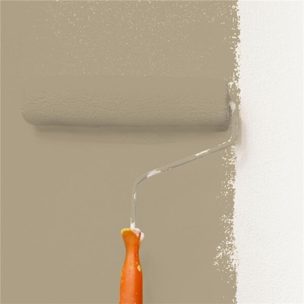 Wandfarbe Matt NCS-S-4010-Y10R WALLCOVER Colors