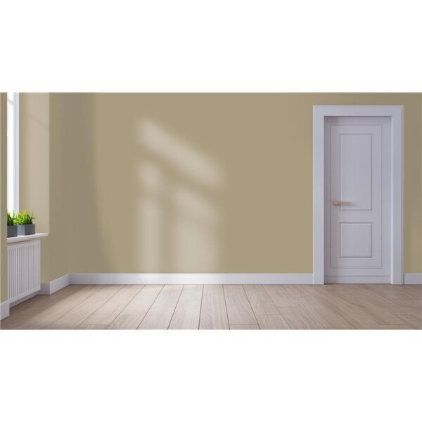 Wandfarbe Matt NCS-S-4010-Y10R WALLCOVER Colors