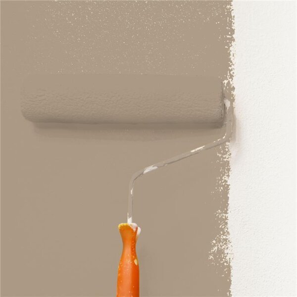 Wandfarbe Matt NCS-S-4010-Y30R WALLCOVER Colors