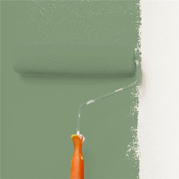 Wandfarbe Matt NCS-S-4020-G30Y WALLCOVER Colors