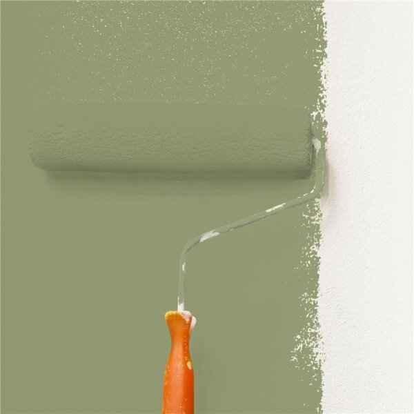 Wandfarbe Matt NCS-S-4020-G50Y WALLCOVER Colors