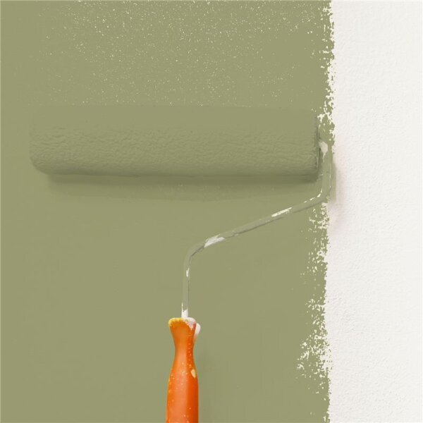 Wandfarbe Matt NCS-S-4020-G70Y WALLCOVER Colors