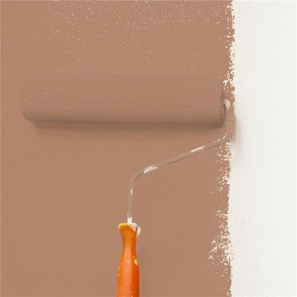 Wandfarbe Matt NCS-S-4020-Y50R WALLCOVER Colors