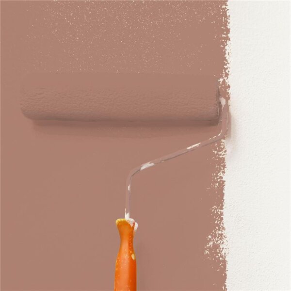 Wandfarbe Matt NCS-S-4020-Y70R WALLCOVER Colors