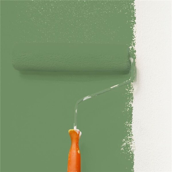 Wandfarbe Matt NCS-S-4030-G30Y WALLCOVER Colors