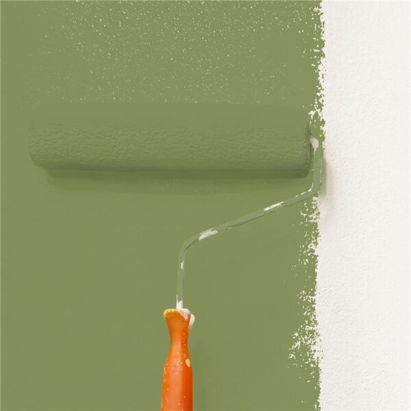 Wandfarbe Matt NCS-S-4030-G50Y WALLCOVER Colors