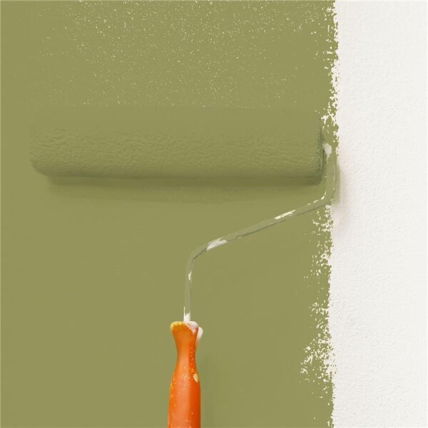 Wandfarbe Matt NCS-S-4030-G70Y WALLCOVER Colors