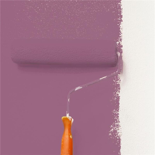 Wandfarbe Matt NCS-S-4030-R30B WALLCOVER Colors