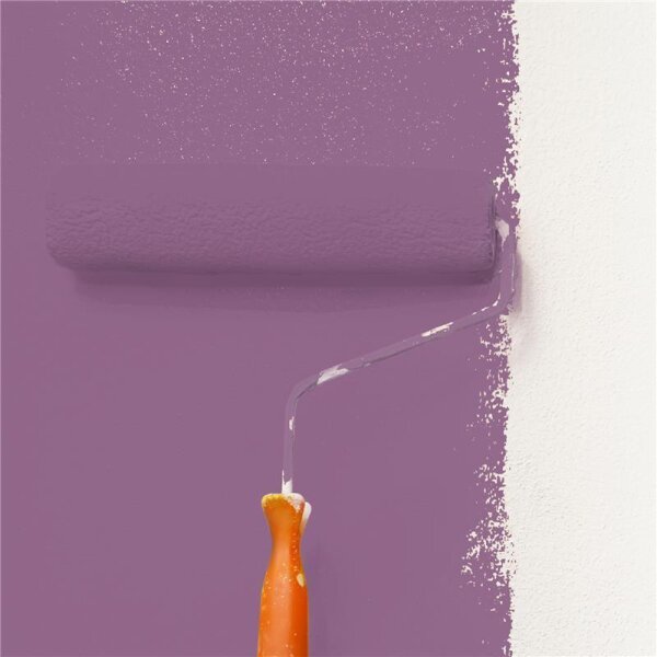 Wandfarbe Matt NCS-S-4030-R40B WALLCOVER Colors