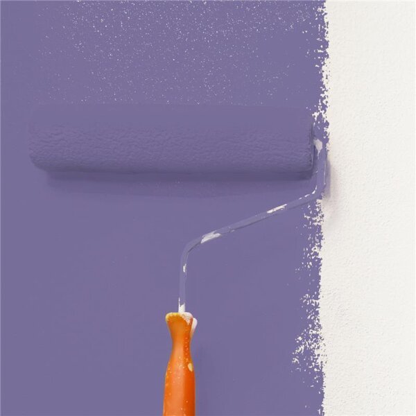 Wandfarbe Matt NCS-S-4030-R60B WALLCOVER Colors
