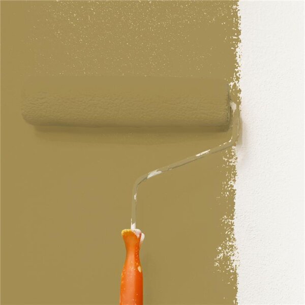 Wandfarbe Matt NCS-S-4030-Y WALLCOVER Colors