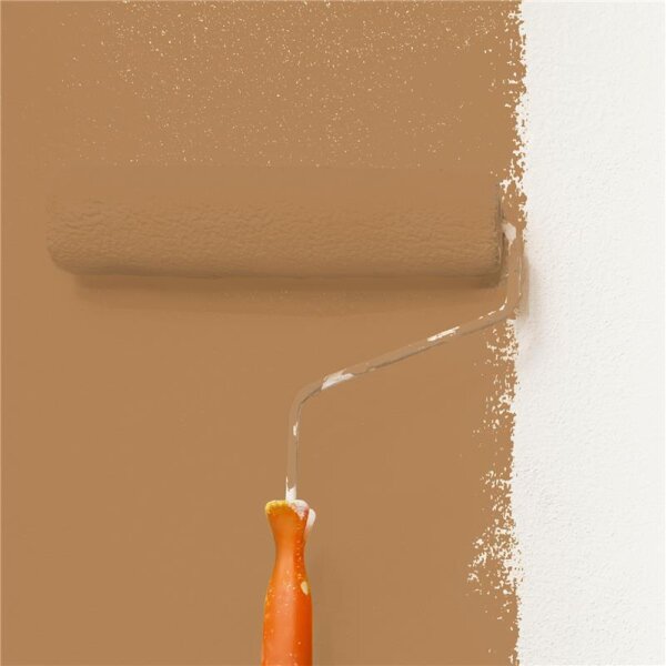 Wandfarbe Matt NCS-S-4030-Y30R WALLCOVER Colors