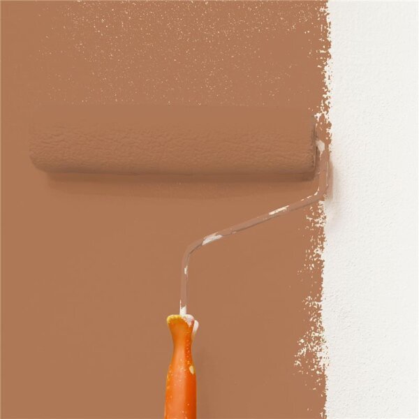 Wandfarbe Matt NCS-S-4030-Y50R WALLCOVER Colors
