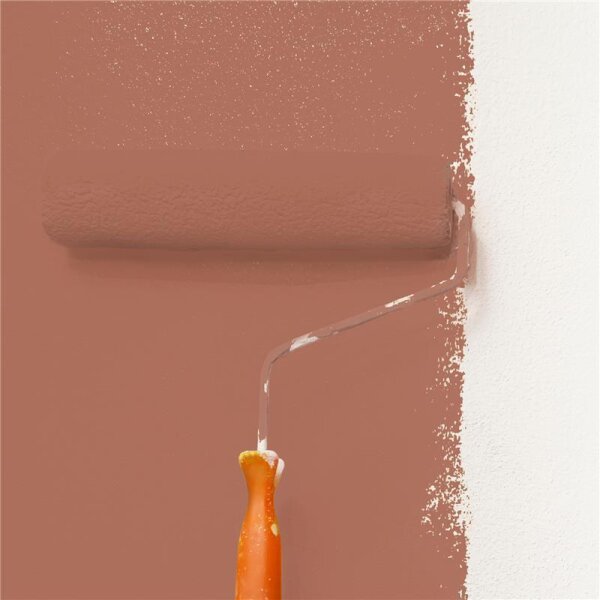 Wandfarbe Matt NCS-S-4030-Y70R WALLCOVER Colors