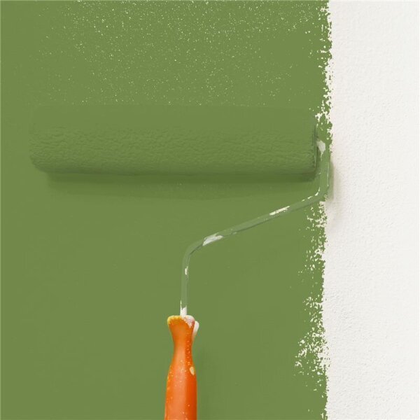 Wandfarbe Matt NCS-S-4040-G40Y WALLCOVER Colors