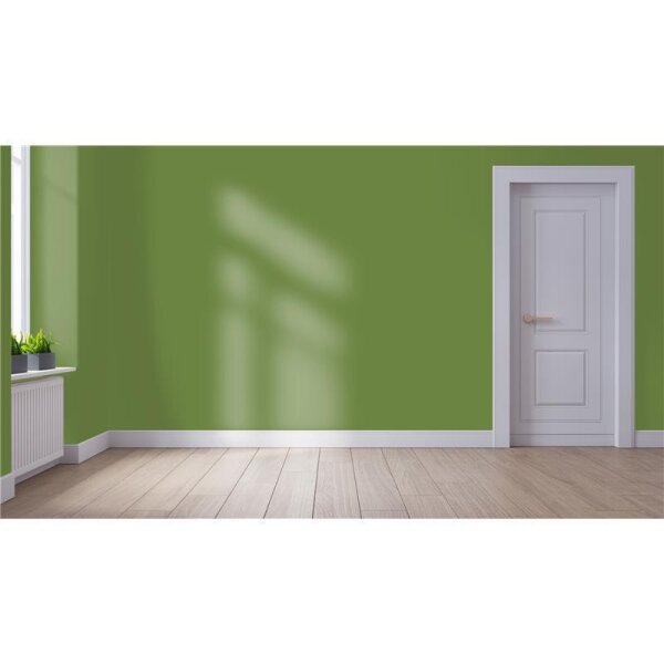 Wandfarbe Matt NCS-S-4040-G40Y WALLCOVER Colors