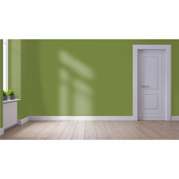 Wandfarbe Matt NCS-S-4040-G50Y WALLCOVER Colors