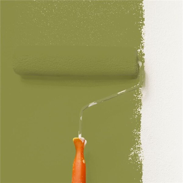 Wandfarbe Matt NCS-S-4040-G70Y WALLCOVER Colors