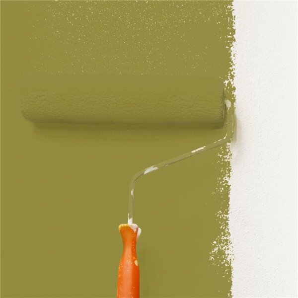 Wandfarbe Matt NCS-S-4040-G80Y WALLCOVER Colors