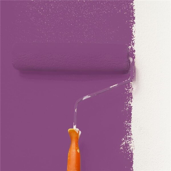 Wandfarbe Matt NCS-S-4040-R40B WALLCOVER Colors