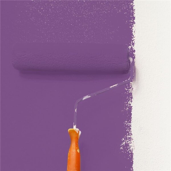 Wandfarbe Matt NCS-S-4040-R50B WALLCOVER Colors