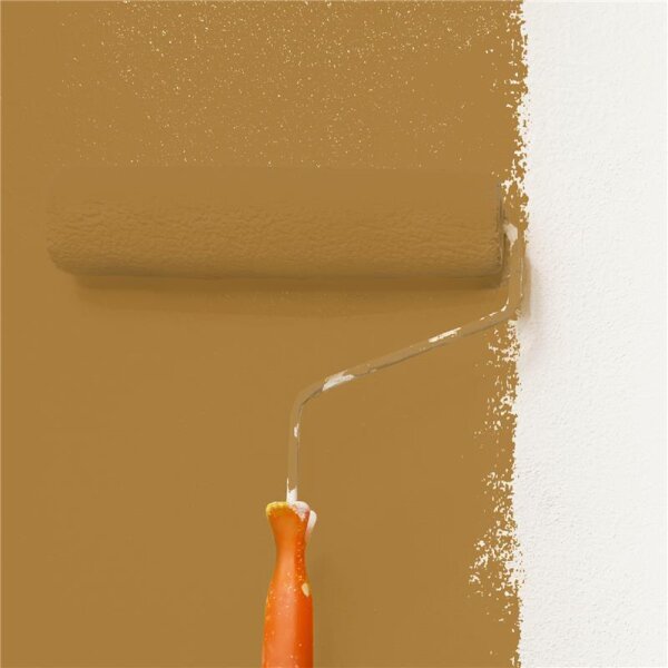 Wandfarbe Matt NCS-S-4040-Y20R WALLCOVER Colors