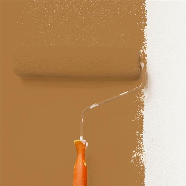 Wandfarbe Matt NCS-S-4040-Y30R WALLCOVER Colors