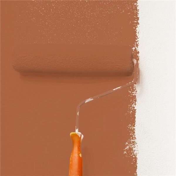 Wandfarbe Matt NCS-S-4040-Y60R WALLCOVER Colors