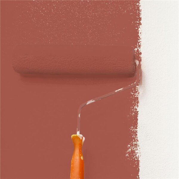 Wandfarbe Matt NCS-S-4040-Y80R WALLCOVER Colors