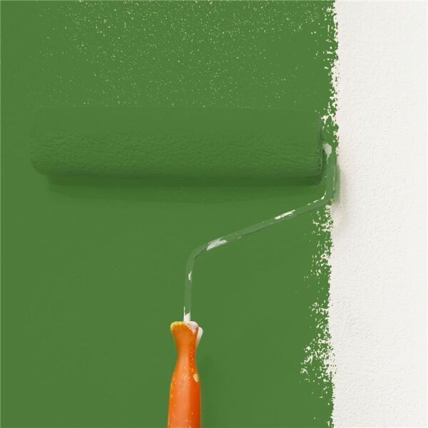 Wandfarbe Matt NCS-S-4050-G30Y WALLCOVER Colors