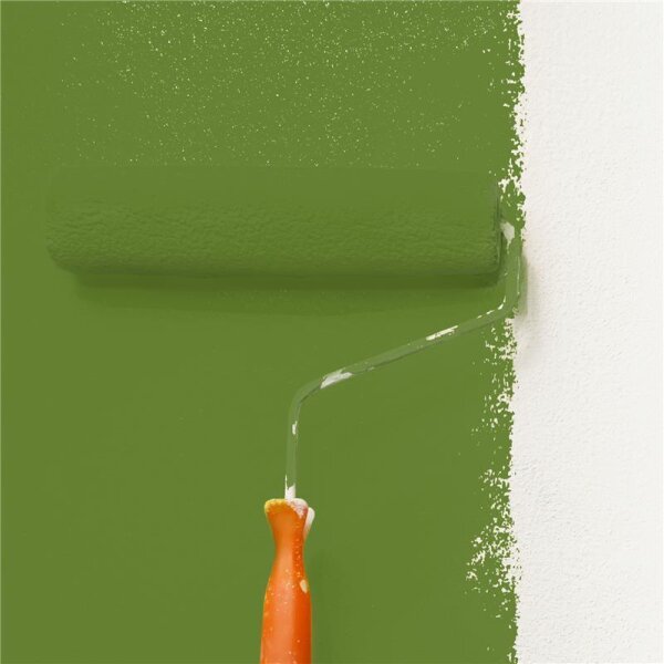 Wandfarbe Matt NCS-S-4050-G40Y WALLCOVER Colors
