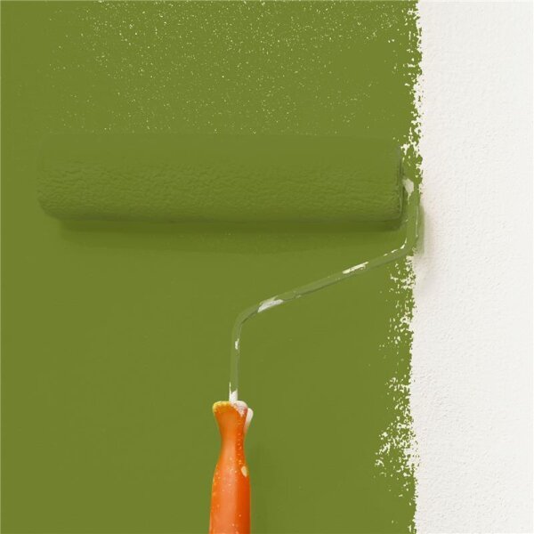 Wandfarbe Matt NCS-S-4050-G50Y WALLCOVER Colors