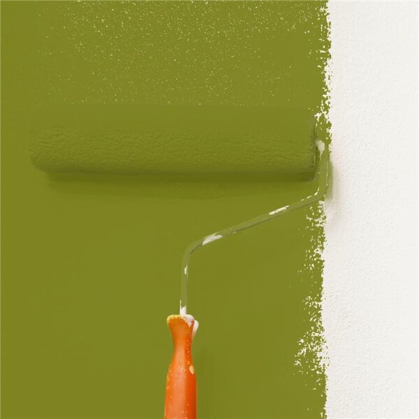 Wandfarbe Matt NCS-S-4050-G60Y WALLCOVER Colors