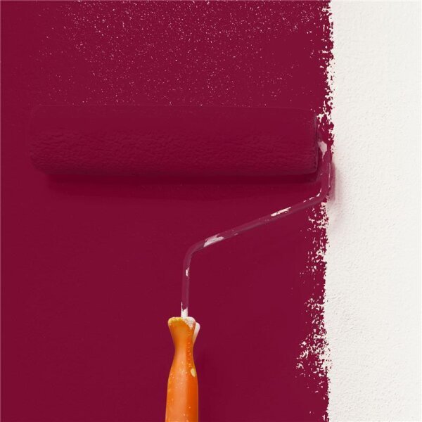 Wandfarbe Matt NCS-S-4050-R10B WALLCOVER Colors