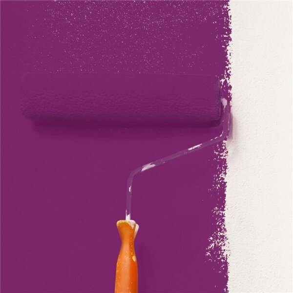 Wandfarbe Matt NCS-S-4050-R40B WALLCOVER Colors