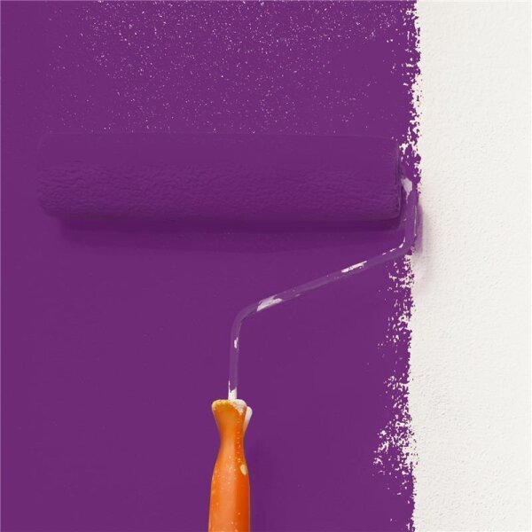 Wandfarbe Matt NCS-S-4050-R50B WALLCOVER Colors
